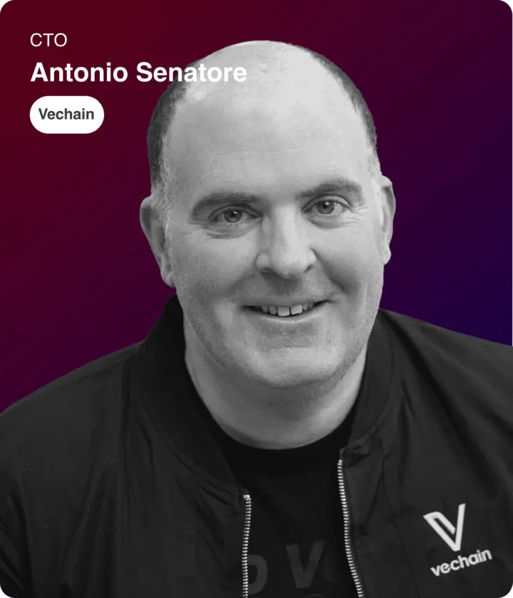 Antonio Senatore, CTO of Vechain.